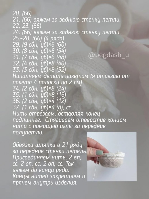 Шуршащая медуза Шуршащая медуза