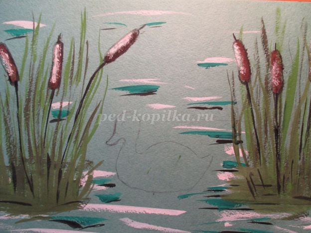 ​Уточка в камышах: часть 2