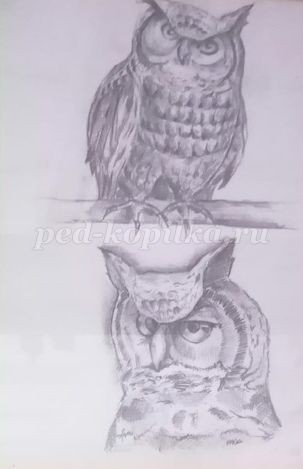 Сова из соленого теста детскими руками Сова из соленого теста детскими руками