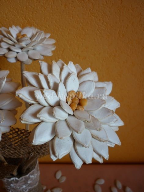 Цветы из тыквенных семечек детскими руками: мастер-класс Цветы из тыквенных семечек детскими руками: мастер-класс