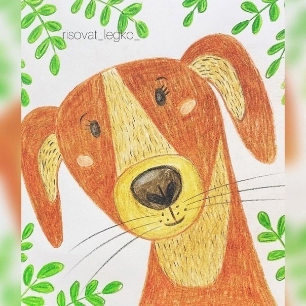 Рисуем пёсика с висящими ушками Рисуем пёсика с висящими ушками