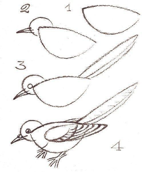 Учим детей рисовать птичек