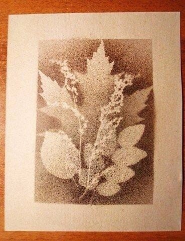 ​Осенние листья