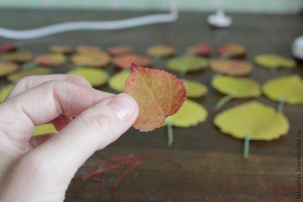 Розочки из листиков Розочки из листиков