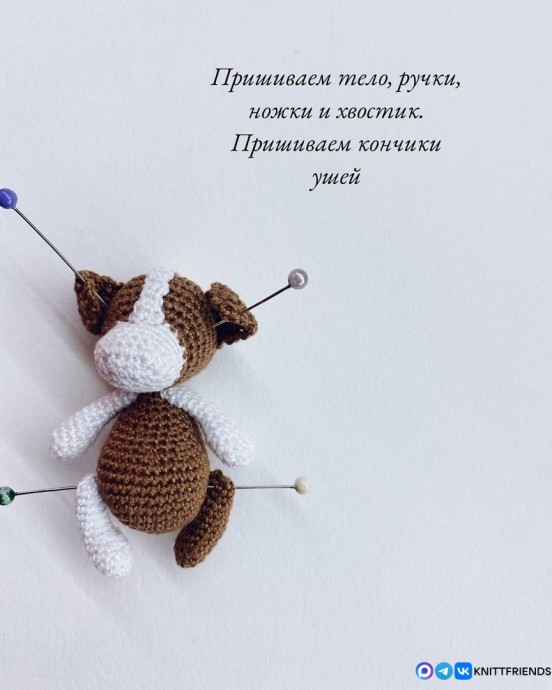 Маленькая собачоночка