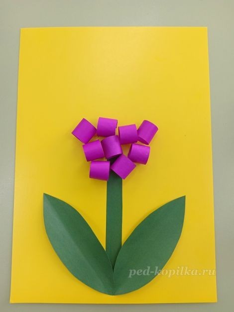 Цветок гиацинт: часть 3