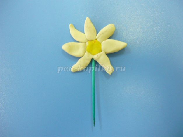 Кошачья нежность: часть 2