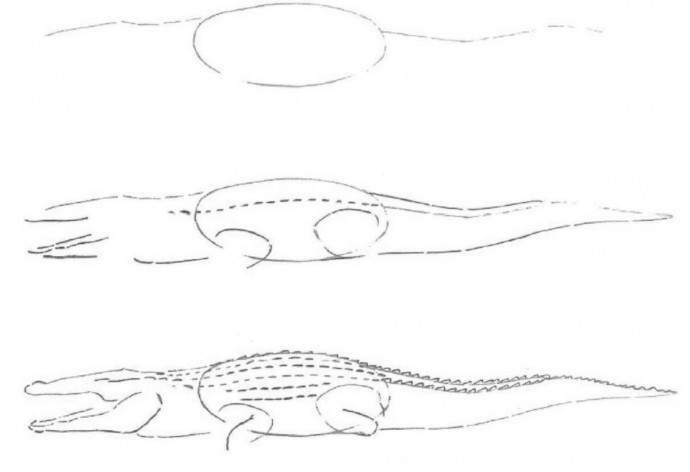 ​Рисуем с детьми крокодила