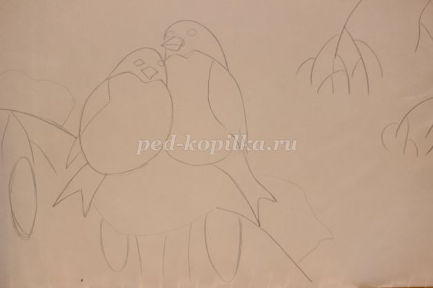 Снегири на ветке: часть 1 Снегири на ветке: часть 1