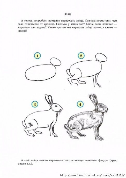 Уроки рисования: белки, ежики, слоники и зайчишки