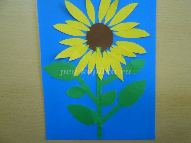 Аппликация из цветной бумаги "Подсолнухи": часть 2 Аппликация из цветной бумаги "Подсолнухи": часть 2