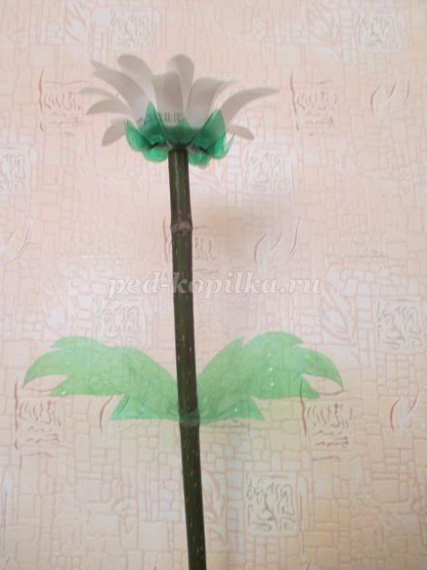 Ромашки из бросового материала детскими руками: часть 5