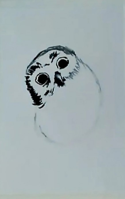 Сова на ели Сова на ели