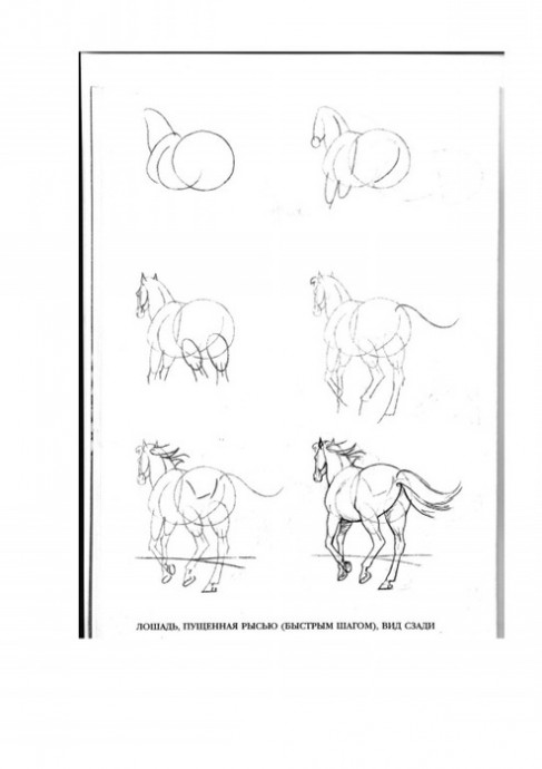 Рисуем лошадей