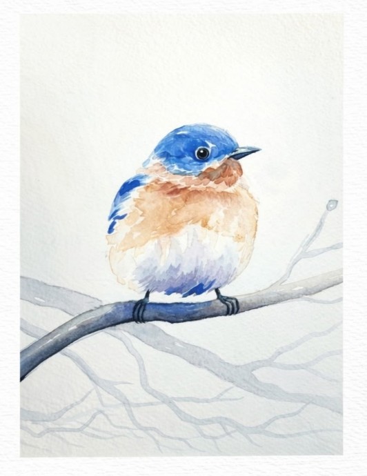 Рисуем разных птичек