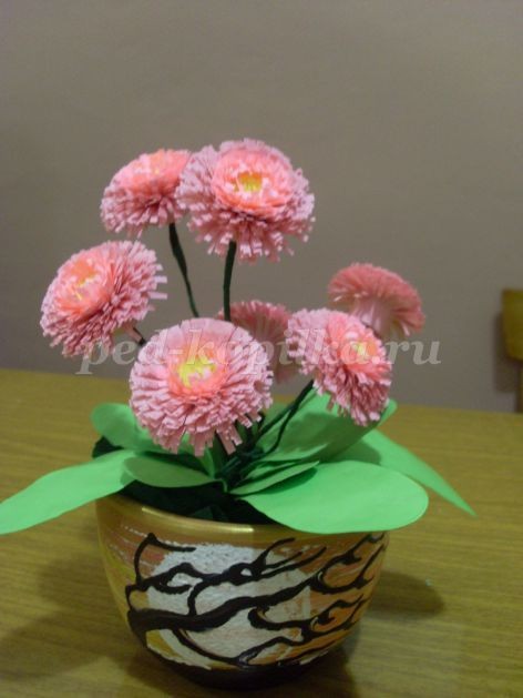 Маргаритки: часть 1