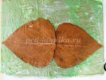 ​Терра-коллаж детскими руками: часть 2