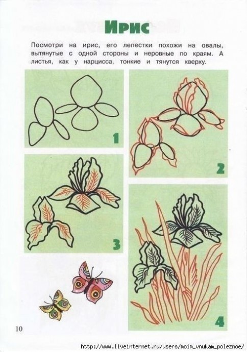 Учим детей рисовать цветы