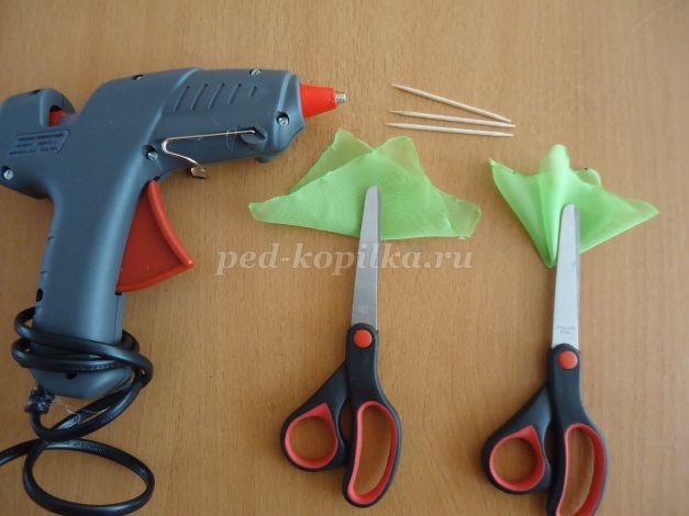 ​Кофейные подснежники: часть 2