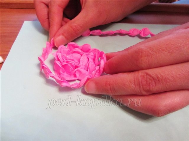 Георгины из гофрированной бумаги