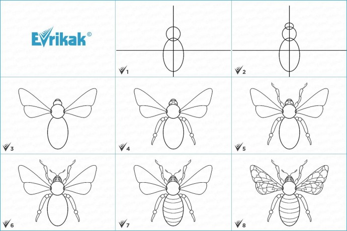 ​Как нарисовать пчелу