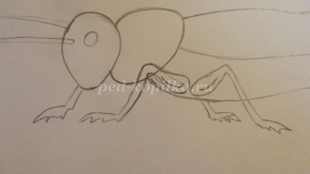 ​Рисуем кузнечика: часть 1