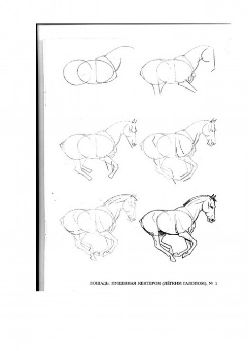 Рисуем лошадей