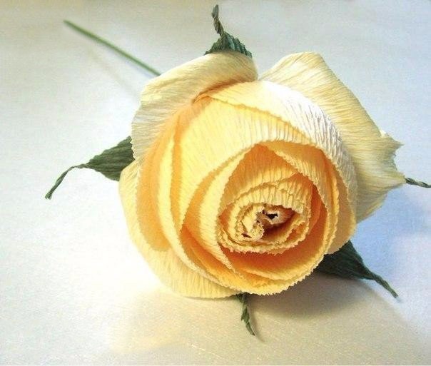 ​Роза из гофрированной бумаги