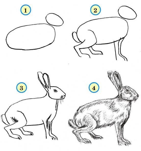 Много способов, как нарисовать кролика
