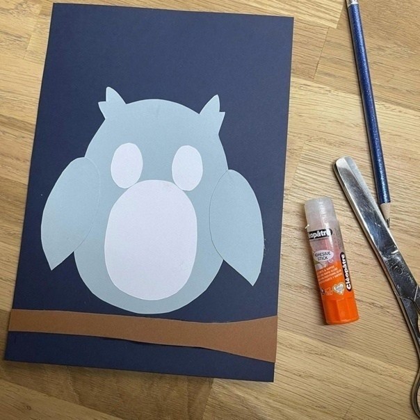 ​Ночное бодрствование совы