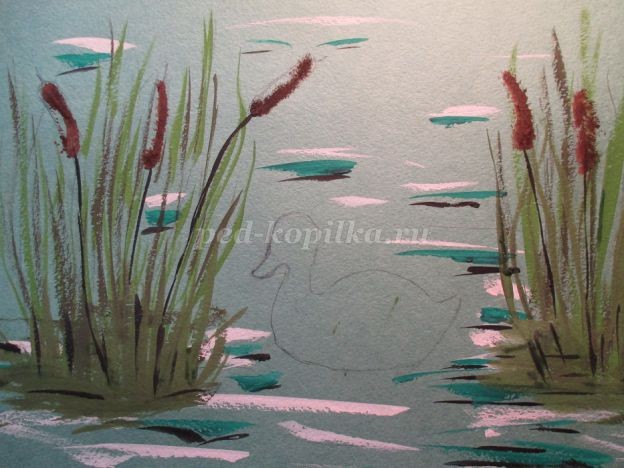 ​Уточка в камышах: часть 2