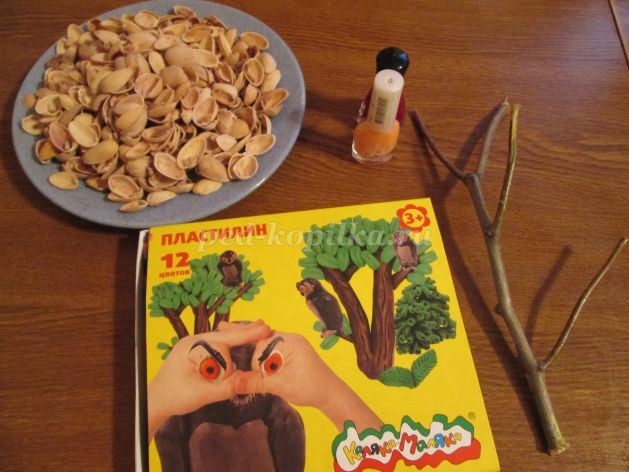 Топиарий из природного материала для детского сада: часть 1