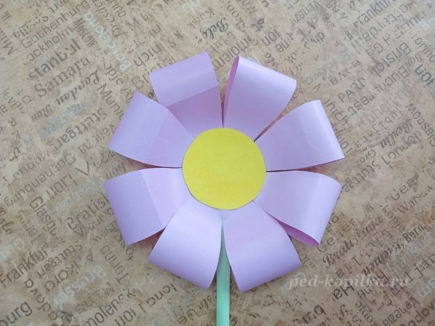 Цветок космеи: часть 2 Цветок космеи: часть 2