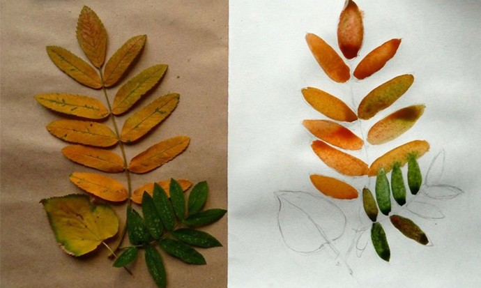 Рисуем осенние листья: мастер-класс