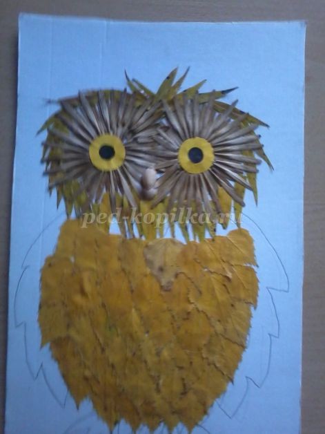 ​Совушка-сова из крылатки клёна: часть 2