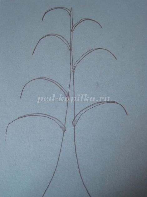 Береза в зимнем уборе: часть 1 Береза в зимнем уборе: часть 1