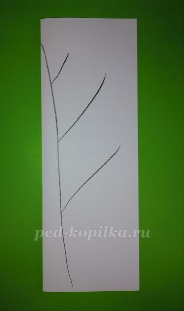 Дерево из цветной бумаги Дерево из цветной бумаги