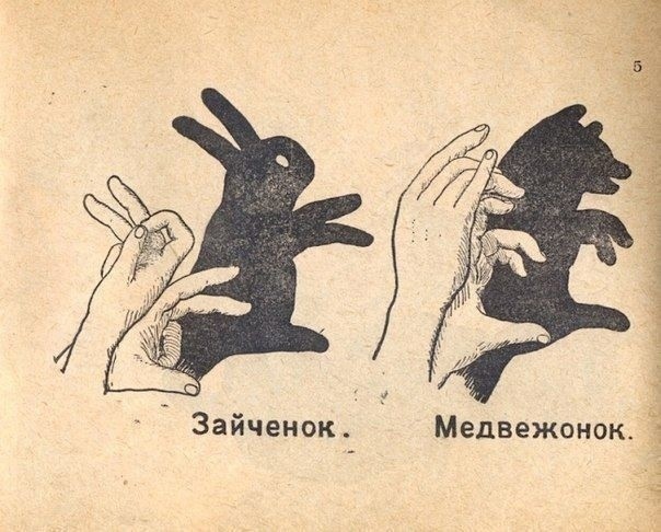 Теневые животные Теневые животные