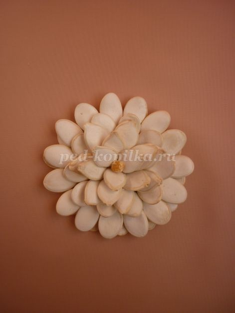 Цветы из тыквенных семечек детскими руками: мастер-класс Цветы из тыквенных семечек детскими руками: мастер-класс