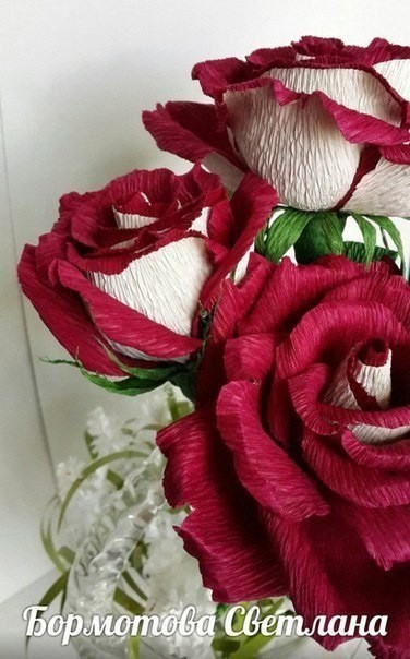 ​Двухцветные розы