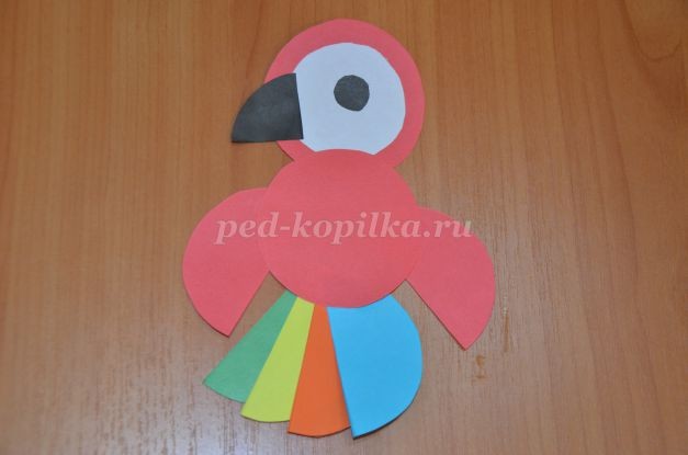 Мой любимый попугай