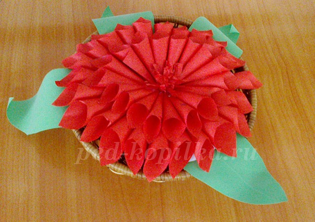 Георгина из кулёчков Георгина из кулёчков