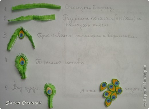 Павлин в технике квиллинга