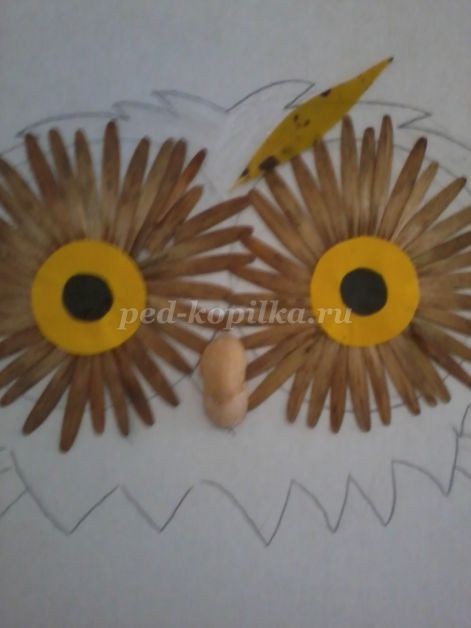 ​Совушка-сова из крылатки клёна: часть 2