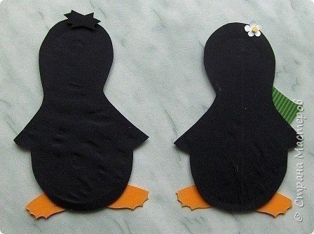 ​Забавные пингвины в полосатых шарфах