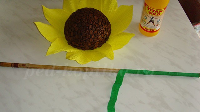 Как сделать подсолнух из кофейных зерен Как сделать подсолнух из кофейных зерен