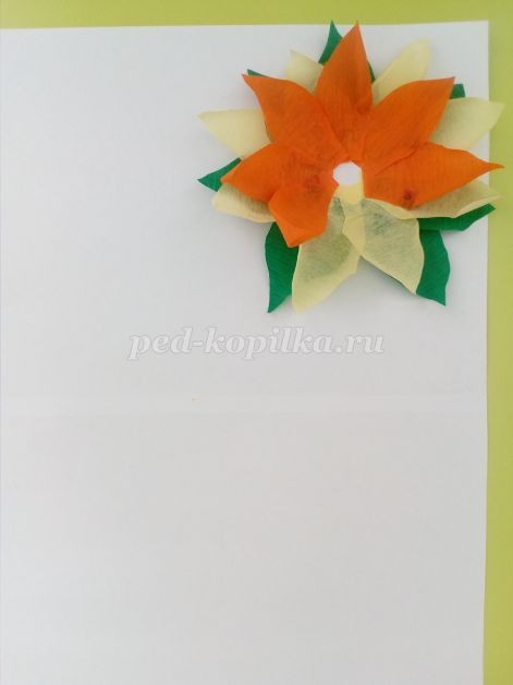 ​Подсолнух из гофрированной бумаги: часть 1