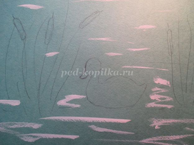 ​Уточка в камышах: часть 1