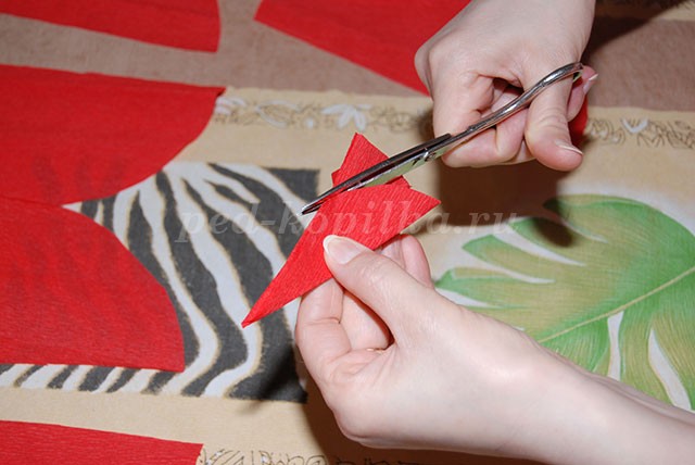 ​Цветы из крепированной бумаги: часть 1