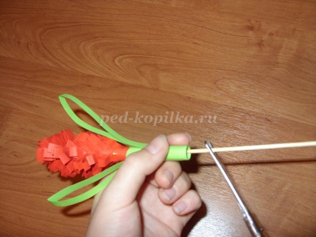 Гиацинты для мамы: часть 2